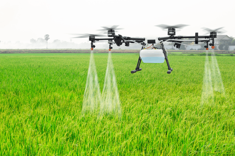 agriculture